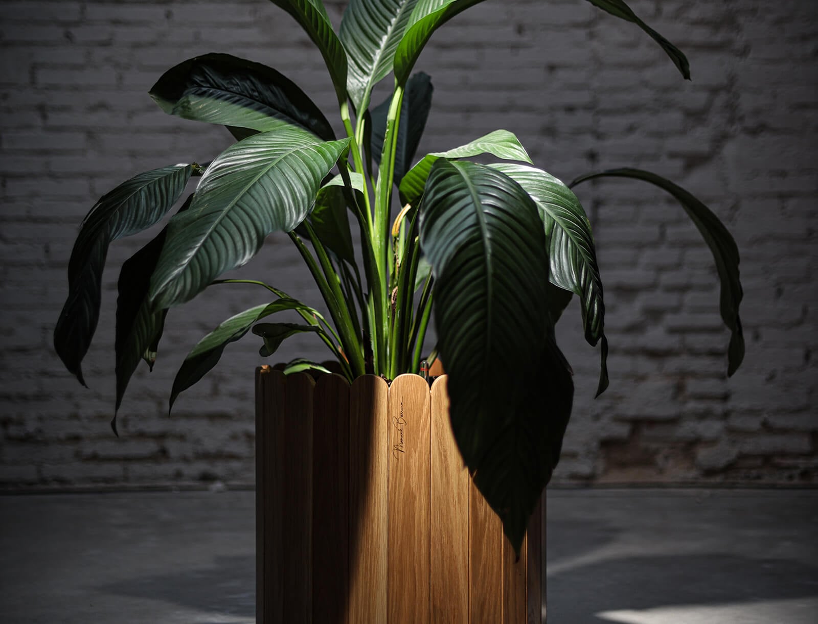 Chase Stokes Rocks ZenniseFurniture: Elevating Styles toNew Heights